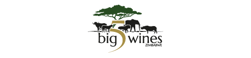 big-5-logo